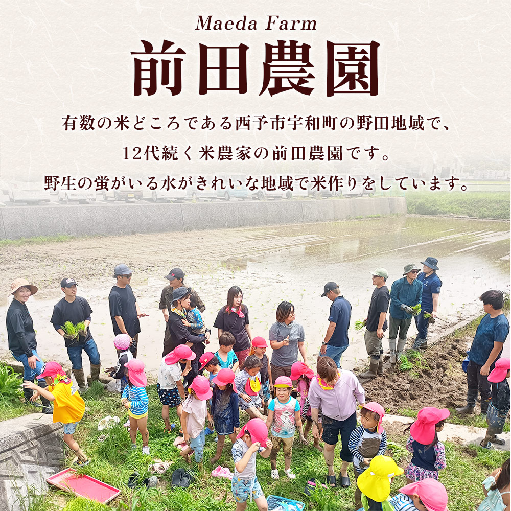 ＜にじのきらめき 約10kg＞ 10キロ ニジノキラメキ 米 お米 コメ こめ 白米 精米 ご飯 ライス 大粒 穀物 西予応援米 特産品 愛媛県産 西予市産 宇和町産 前田農園 愛媛県 西予市