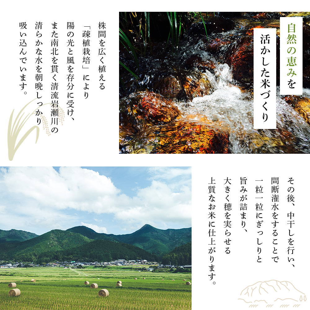 ＜令和7年産 新米 コシヒカリ 岩瀬川清流米 3kg＞ 3キロ こしひかり お米 コメ こめ 白米 精米 ご飯 穀物 鮮度 特産品 愛媛県産 西予市産 宇和町産 OTSUKAFARM 愛媛県 西予市