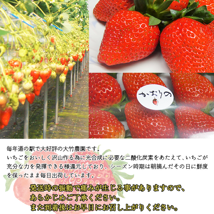 ＜イチゴ「かおり野」約280g×4パック 大竹農園直送＞ かおりの イチゴ いちご 苺 果物 くだもの フルーツ ストロベリー 旬 期間限定 季節限定 特産品 農家直送 産地直送 愛媛県 西予市