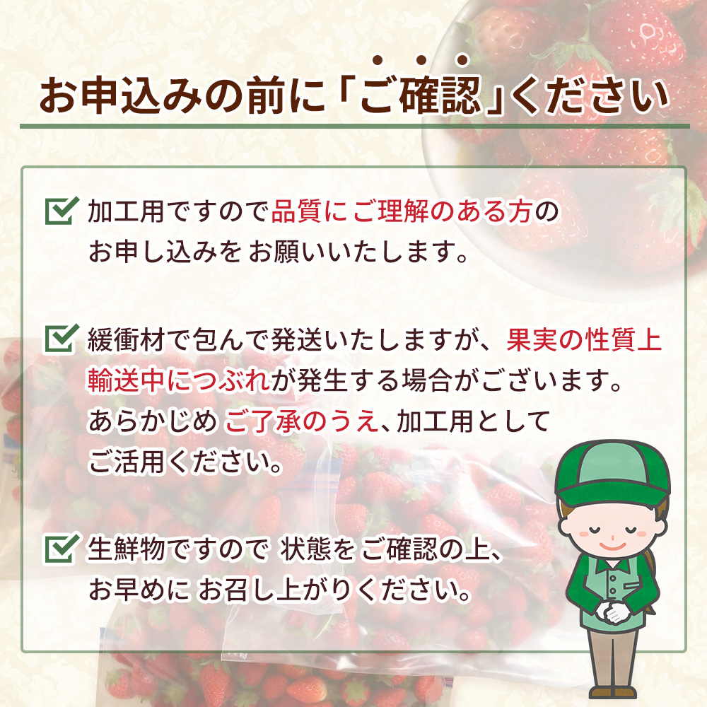 ＜訳あり いちご あまおとめ 約1.3kg 小粒 加工用 冷蔵 規格外品＞ 国産 サイズ 小粒 詰め合わせ アマオトメ 訳あり 訳アリ フルーツ 果物 苺 いちご イチゴ シャーベット スムージー りの果樹園 愛媛県 西予市