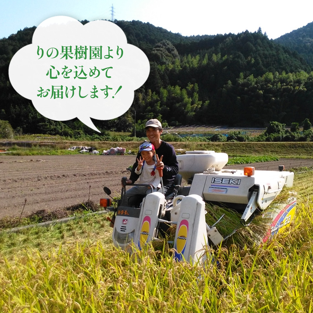 ＜令和7年度 米 キヌヒカリ 精米 5kg＞ 2025年産 単一原料米 単一米 5キロ きぬひかり お米 コメ こめ 白米 ご飯 ライス りの果樹園 愛媛県 西予市