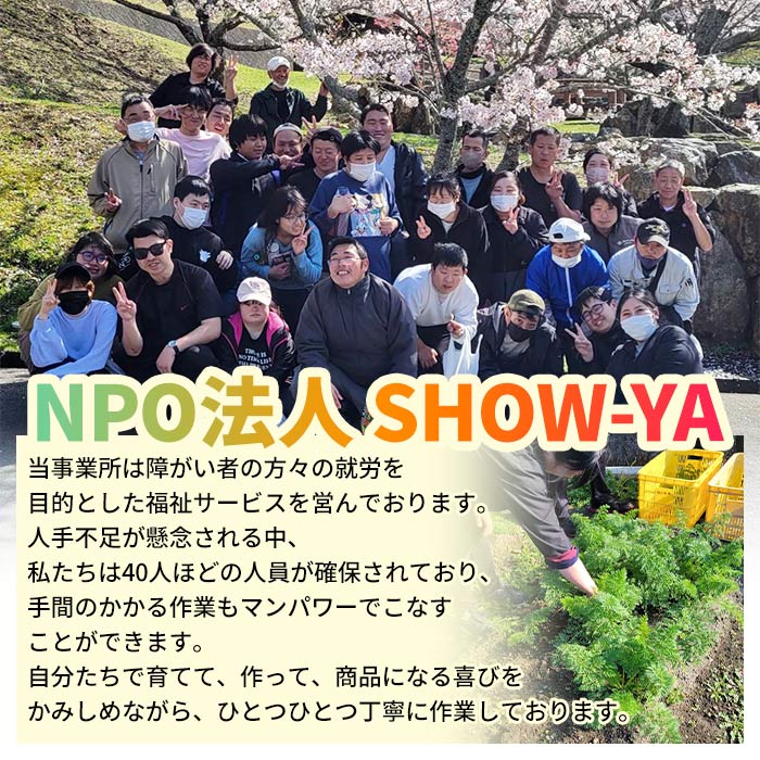 ＜天日干し芋 紅はるか 400g（200g×2袋）＞さつま芋 いも サツマイモ ほし芋 おやつ お菓子 愛媛県 西予市