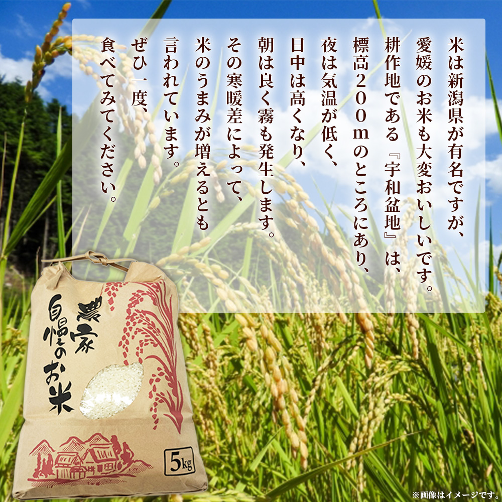＜令和7年産 西予市宇和町産 コシヒカリ 約10kg＞ お米 コメ こめ 白米 精米 ご飯 穀物 こしひかり 西予米NO.1コンテスト 最優秀賞 受賞 特産品 愛媛県産 西予市産 宇和町産 時谷ファーム 愛媛県 西予市