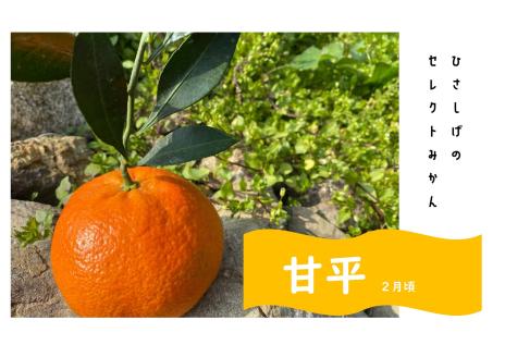 ひさしげ農園　西宇和産セレクトみかんセット