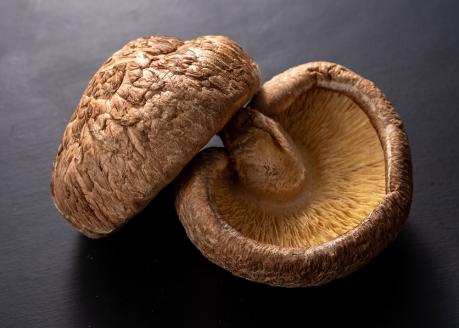 ブランド原木椎茸「霧源（MUGEN）」乾燥約150g（5～8枚）化粧箱入り