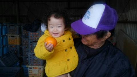 安樹屋　愛媛県明浜産　温州みかん（南柑20号） 10kg（家庭用）