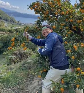 明浜産 浜のみかん屋直送 温州みかん 贈答用（5kg）