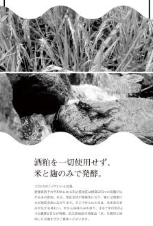 高級酒米を使った甘酒「米乳(マイニュウ)」