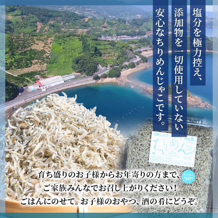 ＜訳あり ちりめん 300g入り 1袋＞ しらす シラス じゃこ 無添加 小魚 ご家庭用 愛媛県 西予市