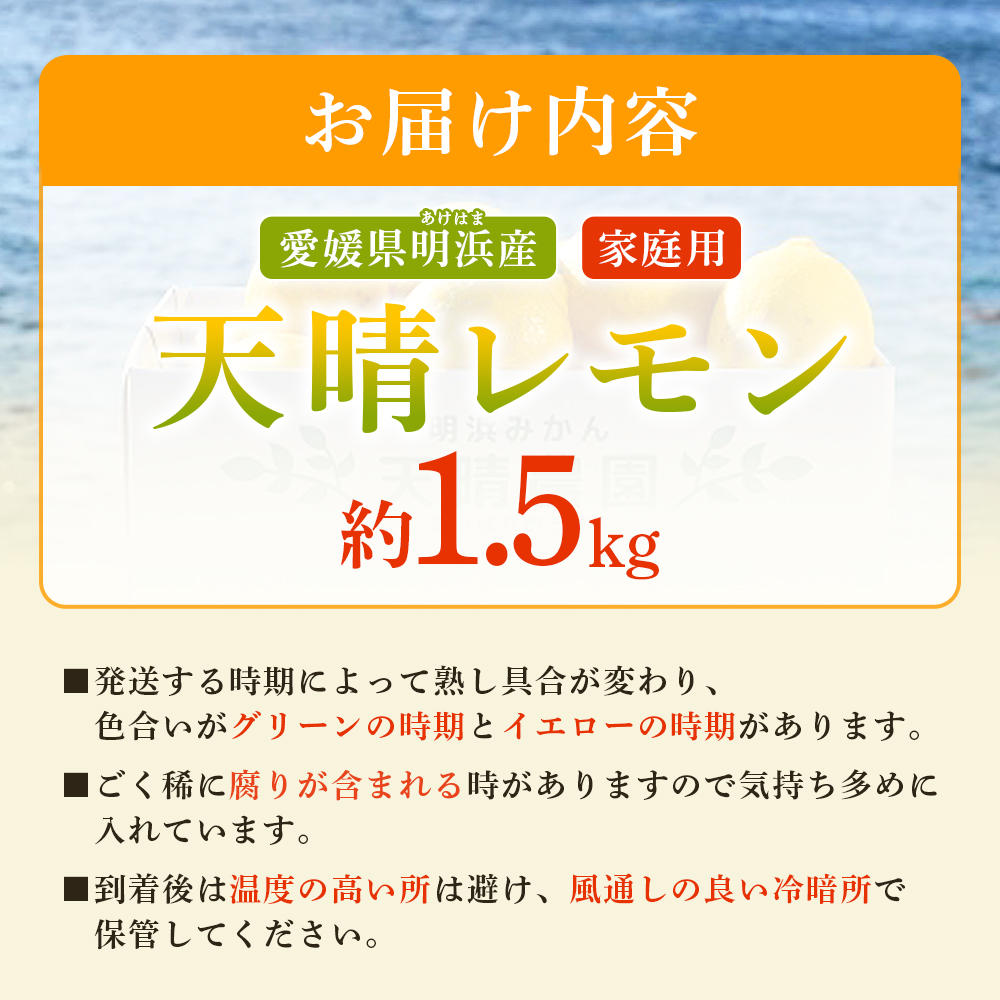 ＜天晴レモン ご家庭用 約1.5kg＞ フルーツ 果物 くだもの レモン れもん 檸檬 柑橘 訳あり わけあり ワケアリ 自宅用 料理 国産 国産レモン 愛媛県産 特産品 株式会社笑丸 愛媛県 西予市