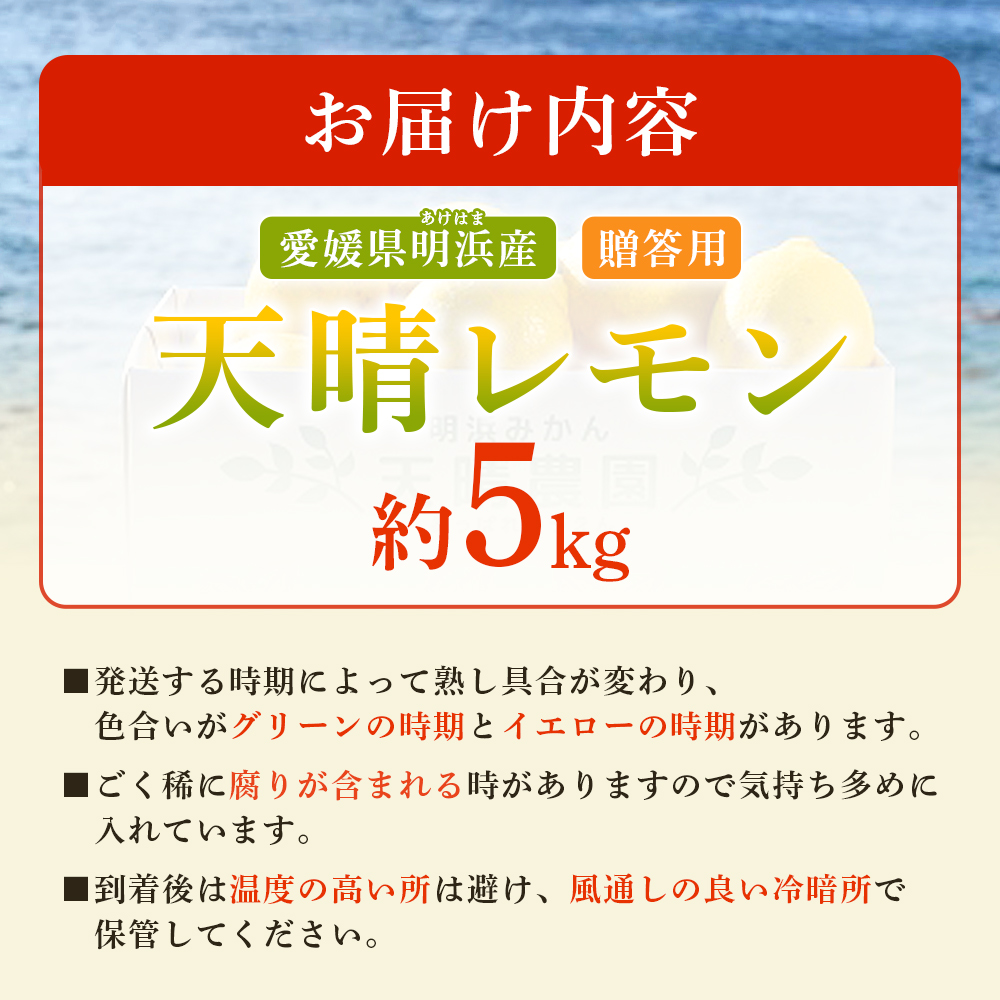 ＜天晴レモン 贈答用 約5kg＞ フルーツ 果物 くだもの レモン れもん 檸檬 柑橘 プレゼント 贈り物 お返し お礼 ギフト アレンジ 料理 国産 国産レモン 愛媛県産 特産品 株式会社笑丸 愛媛県 西予市