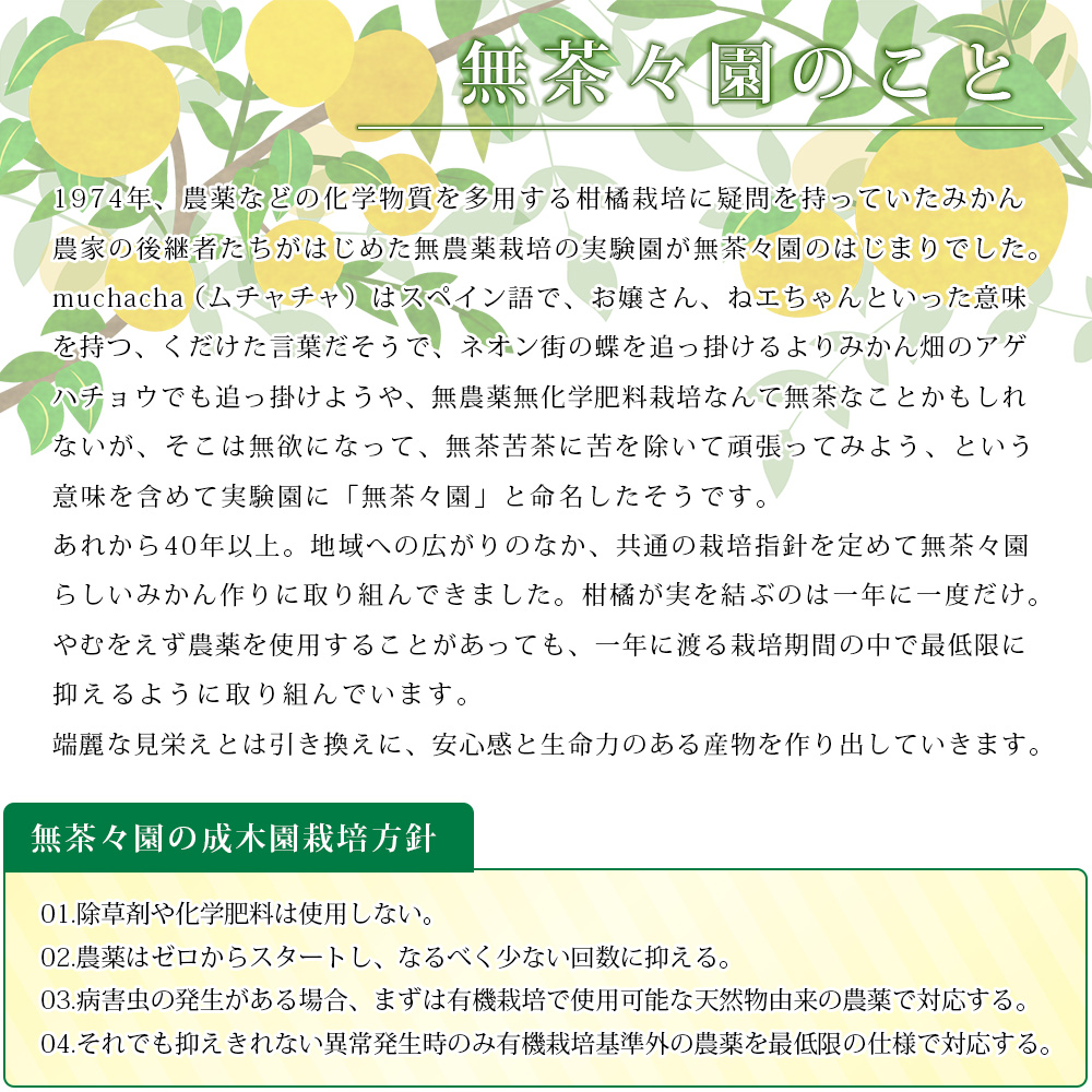 ＜無茶々園のレモン 約3kg＋レモンの本＞ フルーツ 果物 くだもの れもん 檸檬 柑橘 愛媛県 西予市