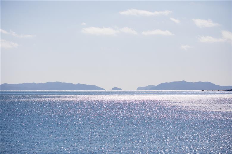 老舗網元　浜田のちりめんバラエティセット（小）