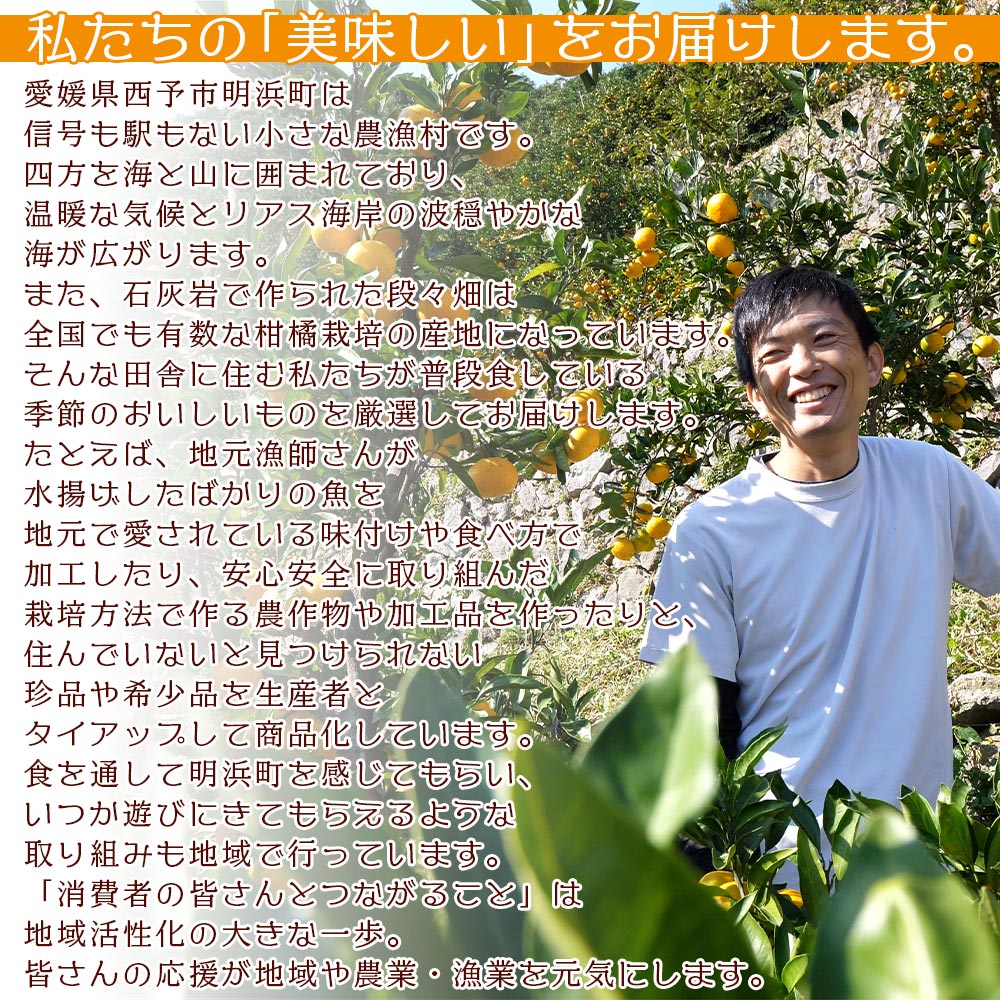 ＜【4月発送】旬をお届け！河内晩柑 約7kg＞ みかん ミカン 蜜柑 果物 柑橘類 果実 オレンジ フルーツ かわちばんかん カワチバンカン 15～20個前後 特産品 明浜産 二ノ宮商事 愛媛県 西予市