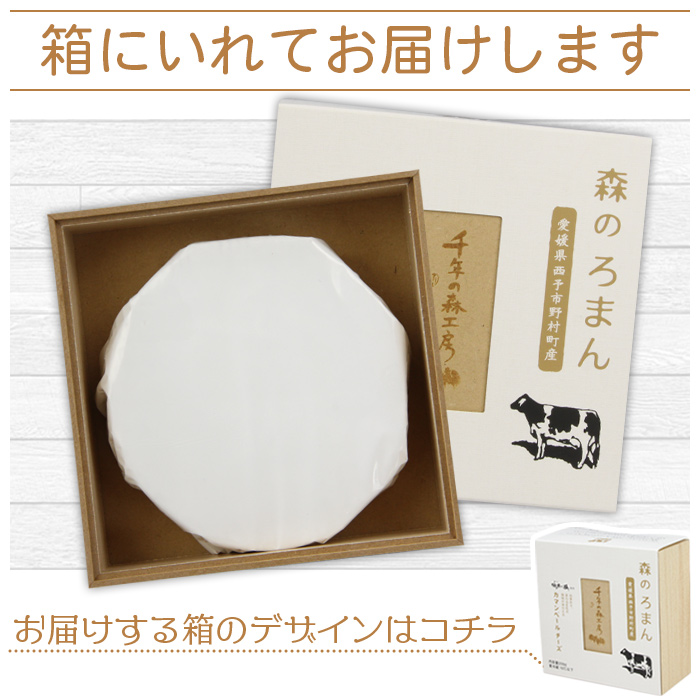 ＜カマンベールチーズ 「森のろまん」 250g×2個 ＞発酵食品 乳製品 加工品 生乳 伯方の塩 おつまみ ワイン おかず ピザ フォンデュ お料理 特産品 箱入り ギフト 国産 愛媛県 西予市 250g×2個（寄附額16,000円）
