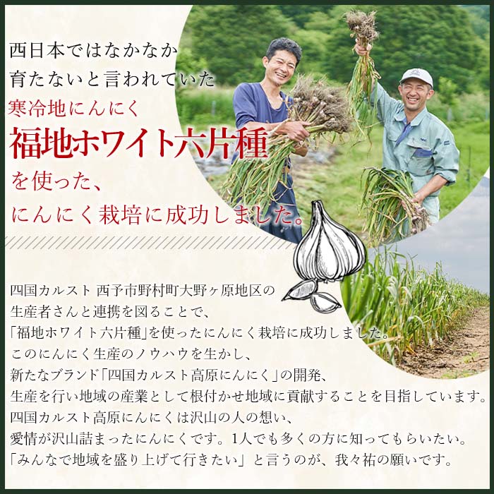 ＜四国カルスト産 生にんにく 約1kg＞ 期間限定 野菜 新鮮 産地直送 福地ホワイト六片種 土付き 掘りたて ニンニク ガーリック 調味料 料理 株式会社祐 愛媛県 西予市
