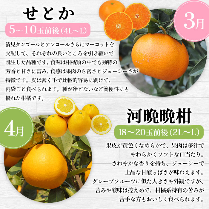 ＜2025年11月発送開始 えひめかんきつ定期便 全6回＞ 果物 フルーツ みかん ミカン 蜜柑 柑橘 日の丸みかん 紅まどんな 伊予柑 いよかん デコポン せとか 河内晩柑 愛媛県 西予市