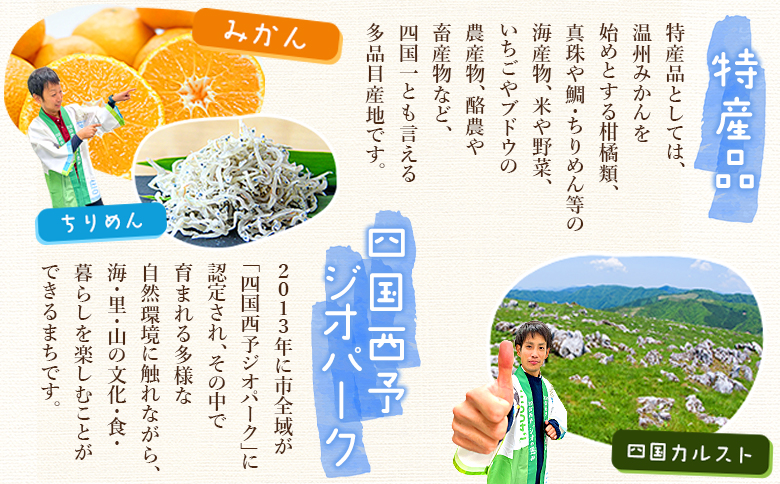 ＜訳あり 愛媛県産富士柿 合計約3.5kg＞『2026年11月上旬～12月下旬迄に順次出荷予定』かき 柿 ふじ柿 果物 くだもの フルーツ 旬 大玉 大きいサイズ 濃厚 秋の味覚 食べ応え抜群 特産品 株式会社OSN 愛媛県 西予市 【常温】