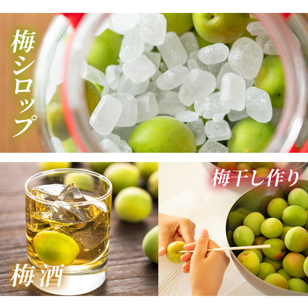 ＜愛媛県西予市産 青梅（小梅） 約5kg＞ うめ ウメ 1.5cm前後 白加賀 小梅 あおうめ アオウメ 梅干し 梅シロップ 梅酒 手作り えひめ活き生きファーマーズ 愛媛県 西予市