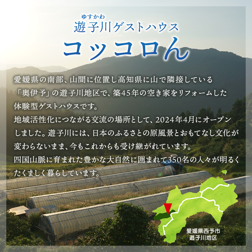＜大自然を感じるコッコロんの一棟貸しプラン(1泊)＞ ゲストハウス 古民家 宿 泊まり 利用券 旅 旅行 トラベル 1泊 犬同伴 愛犬 リラックス リノベーション アウトドア BBQ バーベキュー ピザ体験 愛媛県 西予市