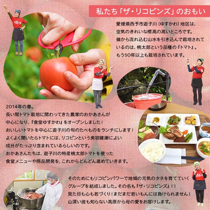 ＜人気No.1！トマト6個がギュギュッと詰まった こどもケチャップ 4個セット 添加物不使用＞ とまと 野菜 無添加 完熟 調味料 子供 パスタソース 詰め合わせ ギフト 国産 遊子川ザ・リコピンズ 愛媛県 西予市