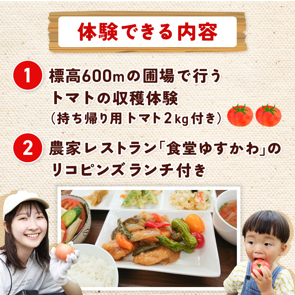 ＜桃太郎トマトの収穫体験（食堂ゆすかわのランチ付き）＞トマト収穫 体験 収穫 利用券 チケット 1名 1人 ランチ付き 桃太郎トマト トマト 持ち帰り 特産品 遊子川ザ・リコピンズ 愛媛県 西予市