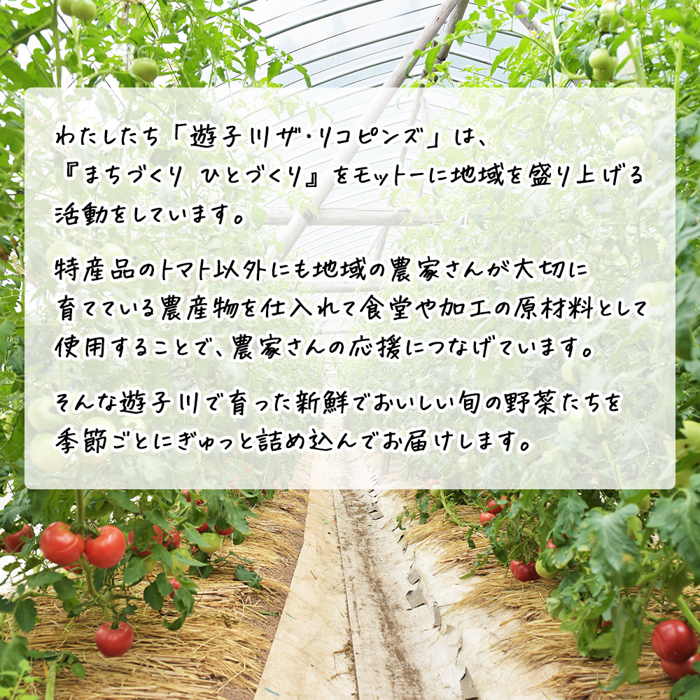＜旬の採れたて野菜が詰まったお楽しみBOX（3か月ごと年4回の定期便）＞ 西予市遊子川産 農家さんの顔が見える野菜 定期便 野菜 食べて応援 特産品 遊子川ザ・リコピンズ 愛媛県 西予市
