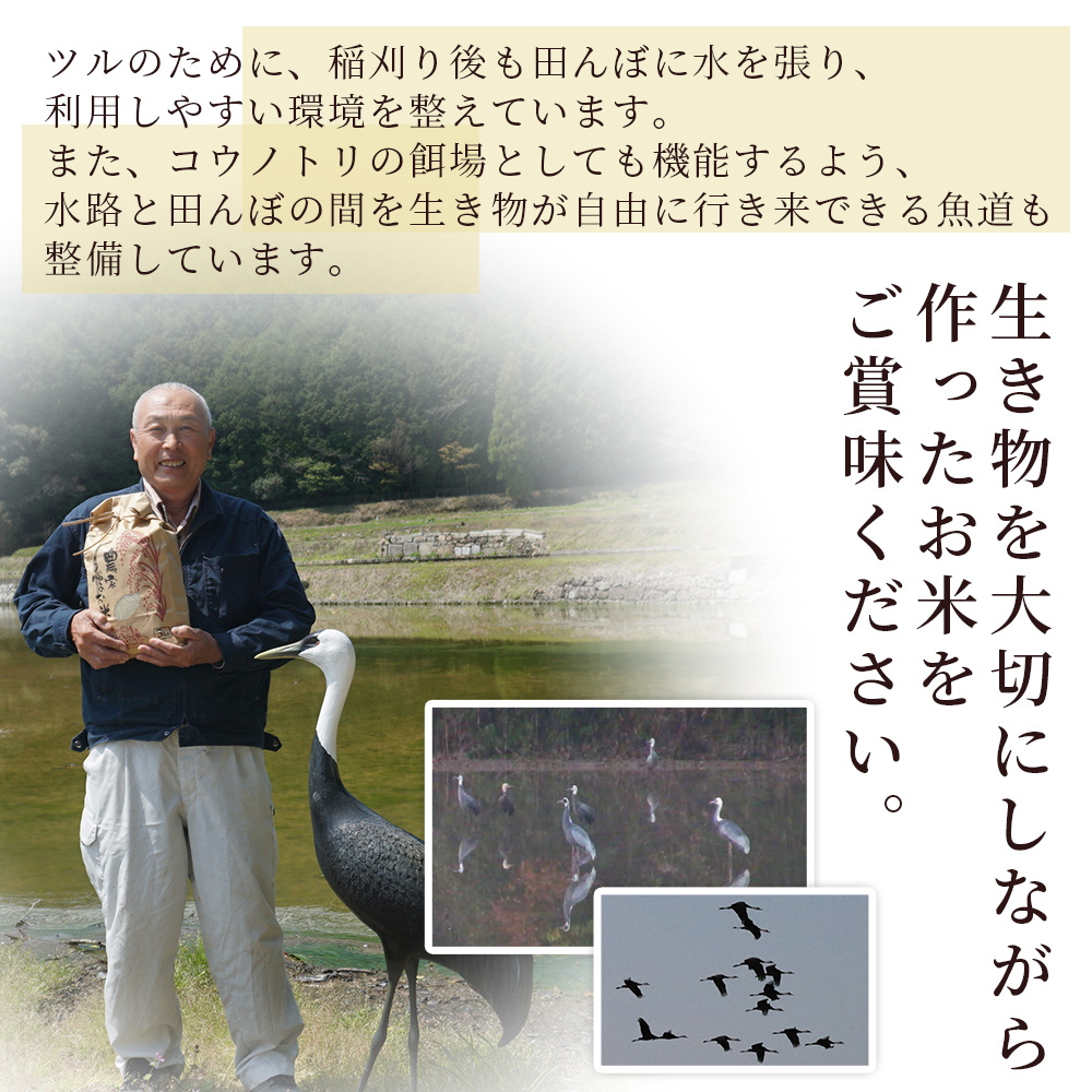 ＜令和7年産 コシヒカリ「つるの寝どこまい」約10kg 西予市宇和町産＞ 2025年産 こしひかり お米 コメ こめ 白米 精米 ご飯 ごはん 穀物 ライス SDGs 共生 楠 健明 愛媛県 西予市