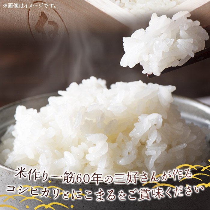 ＜令和6年産 西予市宇和町産 特別栽培米コシヒカリ・にこまる 食べ比べセット 合計4kg（各2kg）＞ お米 コメ 白米 精米 ご飯 ライス 穀物 こしひかり 晩稲 大粒 特産品 三好フク 愛媛県 西予市