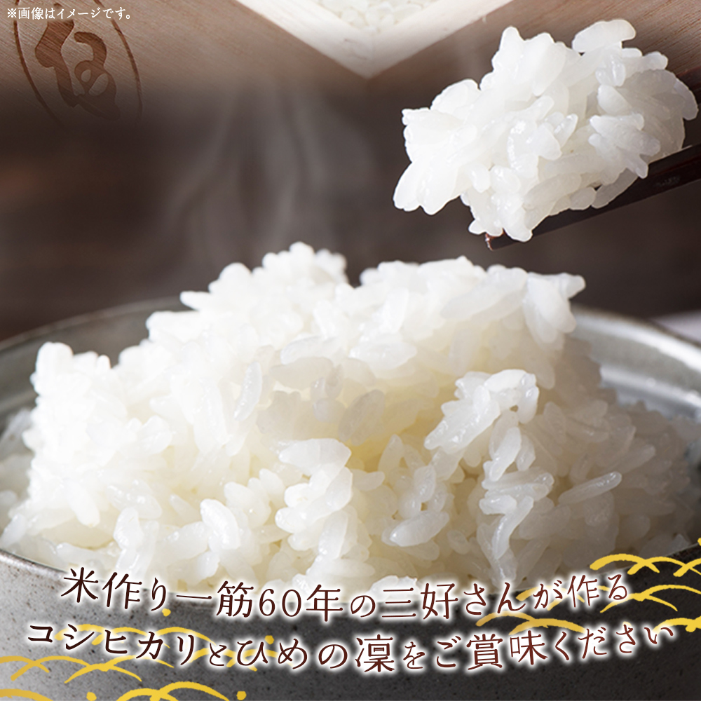 特別栽培米コシヒカリ・ひめの凜食べ比べセット（各5kg）