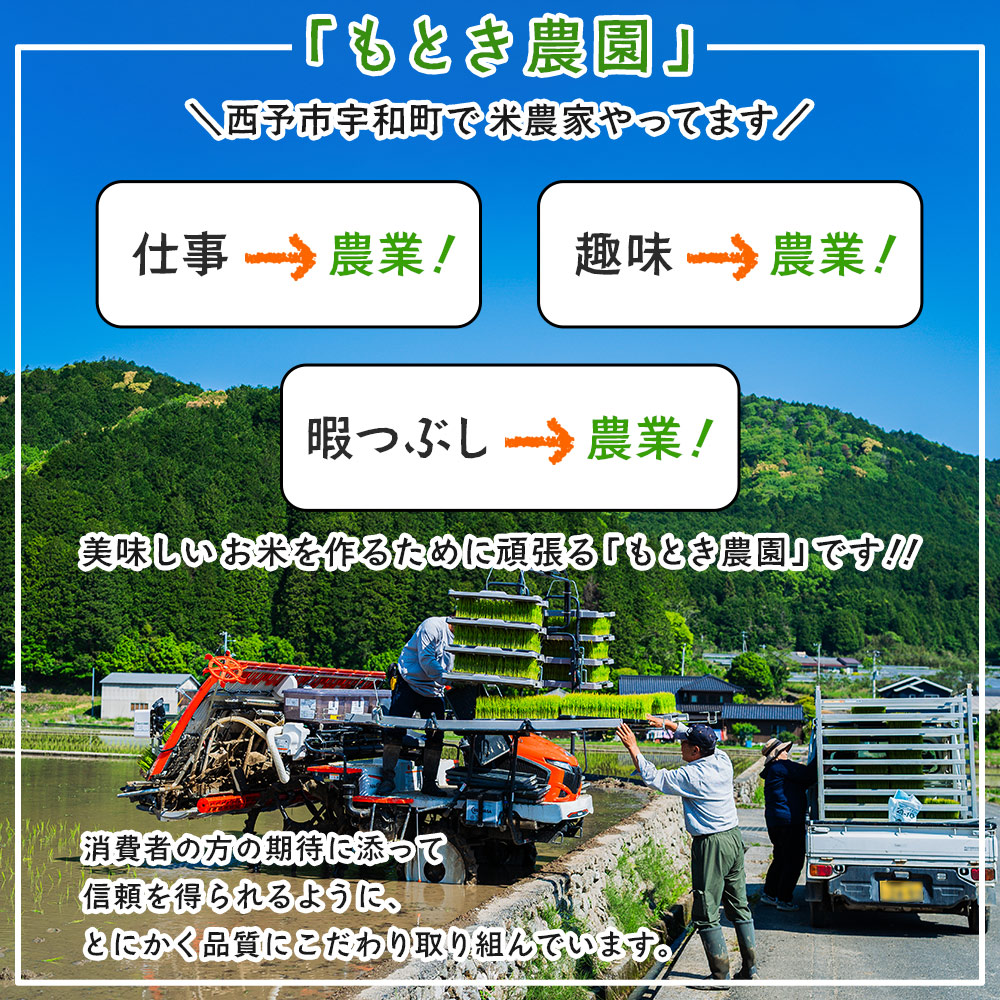 ＜令和7年産 愛媛県西予市産 コシヒカリ 10kg＞ お米 コメ こめ 白米 精米 ご飯 新鮮 10キロ 国産 愛媛県産 宇和町産 こしひかり 特産品 もとき農園 愛媛県 西予市