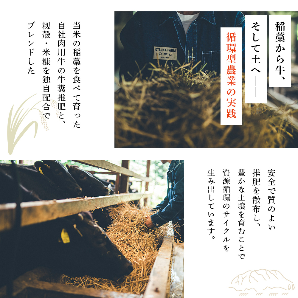 ＜令和7年産 新米 コシヒカリ 岩瀬川清流米 5kg＞ 5キロ こしひかり お米 コメ こめ 白米 精米 ご飯 穀物 鮮度 特産品 愛媛県産 西予市産 宇和町産 OTSUKAFARM 愛媛県 西予市