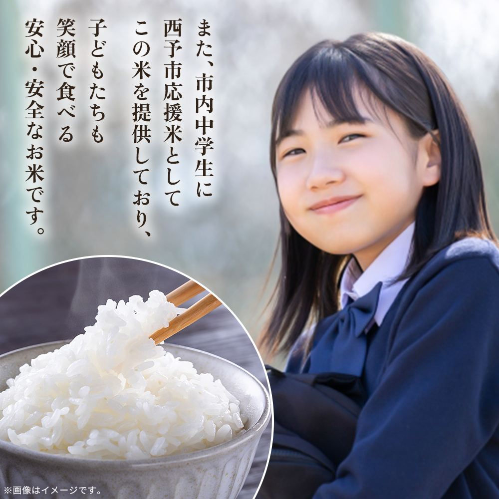 ＜令和7年産 愛媛県西予市産 コシヒカリ 田んぼダム米 5kg＞ 5キロ こしひかり 西予応援米 宇和米 お米 コメ こめ 白米 精米 米 国産 愛媛県産 宇和町産 和みファーム 愛媛県 西予市
