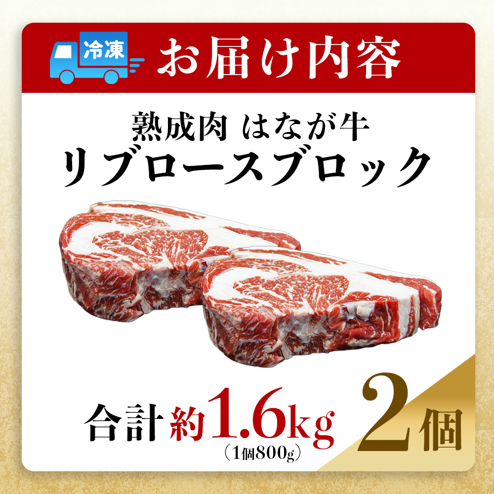 ＜熟成肉 はなが牛リブロースブロック約1.6kg（800g×2個）＞ 牛肉 ステーキ 鉄板焼き 焼き肉 国産 塊肉 かたまり 霜降り しもふり バーベキュー BBQ キャンプ アウトドア 特産品 ゆうぼく 愛媛県 西予市