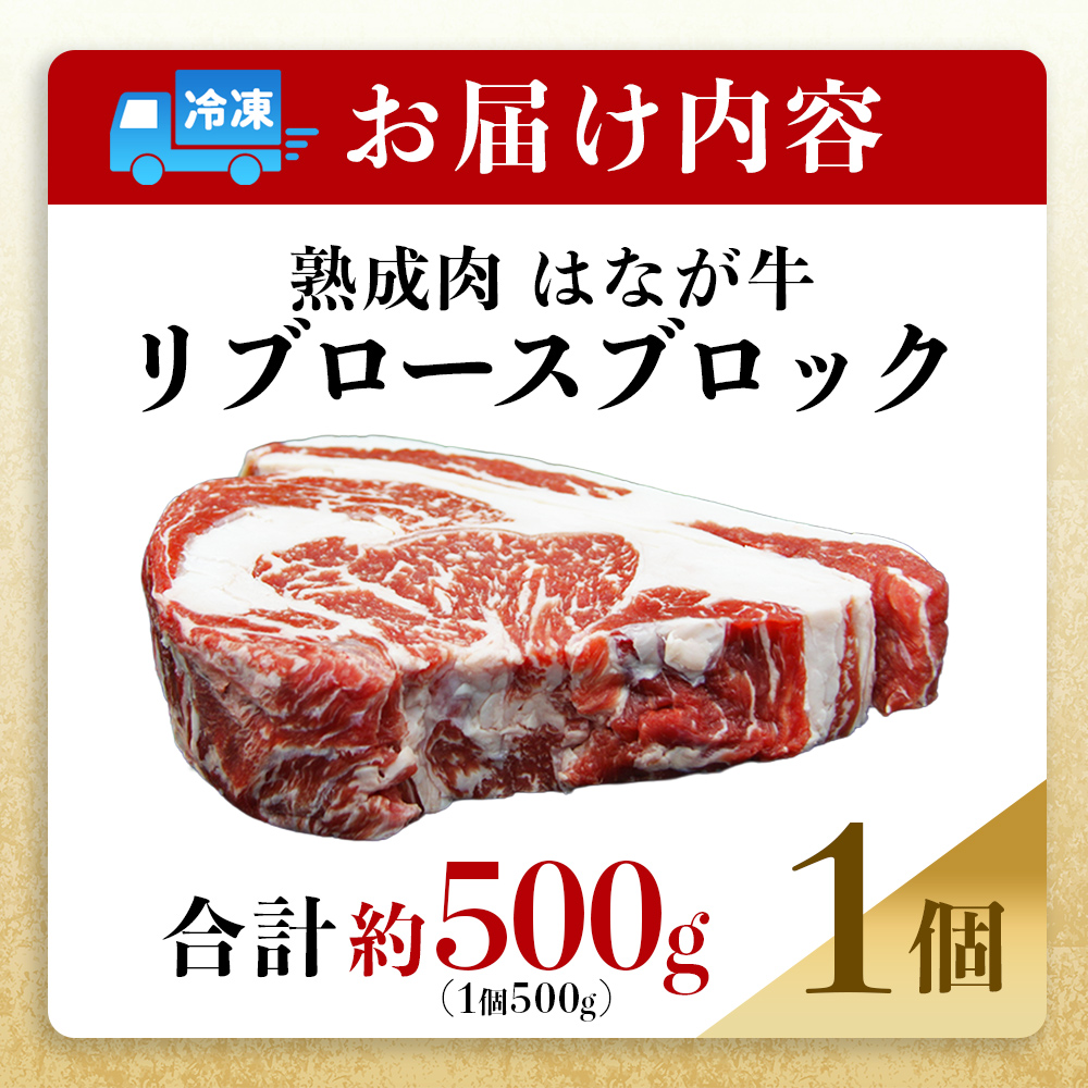 ＜熟成肉 はなが牛リブロースブロック約500g（500g×1個）＞ 牛肉 ステーキ 鉄板焼き 焼き肉 国産 塊肉 かたまり 霜降り しもふり バーベキュー BBQ キャンプ アウトドア 特産品 ゆうぼく 愛媛県 西予市