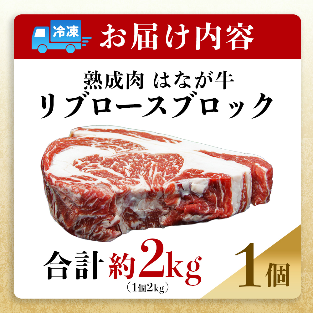 ＜熟成肉 はなが牛リブロースブロック約2kg（2kg×1個）＞ 牛肉 ステーキ 鉄板焼き 焼き肉 国産 塊肉 かたまり 霜降り しもふり バーベキュー BBQ キャンプ アウトドア 特産品 ゆうぼく 愛媛県 西予市