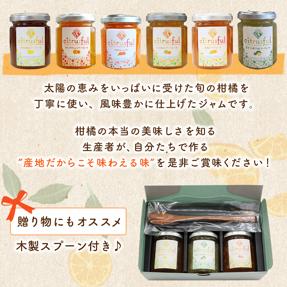 ＜マーマレード・ジャム 3種セット＞ 国産 愛媛県産 西宇和 マーマレード ジャム セット 3個 産地直送 季節のジャム みかん ミカン 果物 フルーツ 柑橘 オレンジ 蜜柑 手作り 果実 手作りジャム 小林果園 愛媛県 西予市