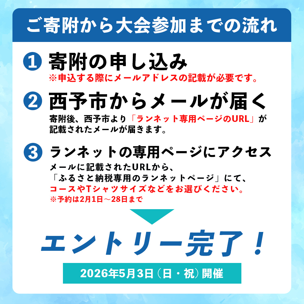 【ふるさと納税】＜四国せいよ朝霧湖マラソン＞ ロードレース ハーフマラソン ハーフ 10km 10キロ ランニング ランナー スポーツ 運動 参加 出走 体験 チケット 自然 朝霧湖 あさぎりこ マラソン まらそん マラソン大会 四国せいよ朝霧湖マラソン事務局 愛媛県 西予市