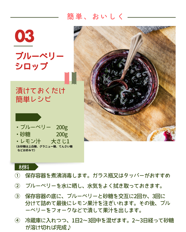 ＜愛媛県西予市産 ブルーベリー 約1kg（100g入り×10パック）＞ ぶるーべりー 果実 果物 生 くだもの フルーツ 国産 小分け ジャム スムージー 株式会社フジ・アグリフーズ 愛媛県 西予市【冷蔵】