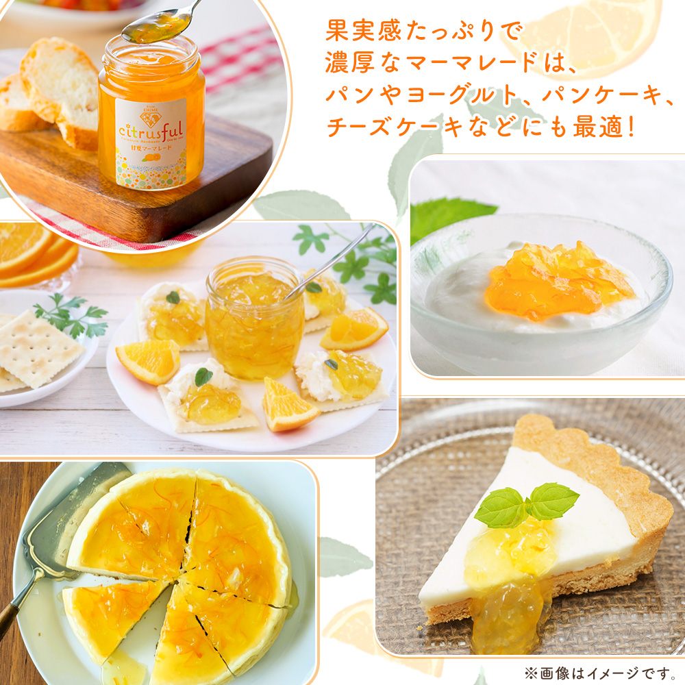 ＜マーマレード・ジャム 3種セット＞ 国産 愛媛県産 西宇和 マーマレード ジャム セット 3個 産地直送 季節のジャム みかん ミカン 果物 フルーツ 柑橘 オレンジ 蜜柑 手作り 果実 手作りジャム 小林果園 愛媛県 西予市