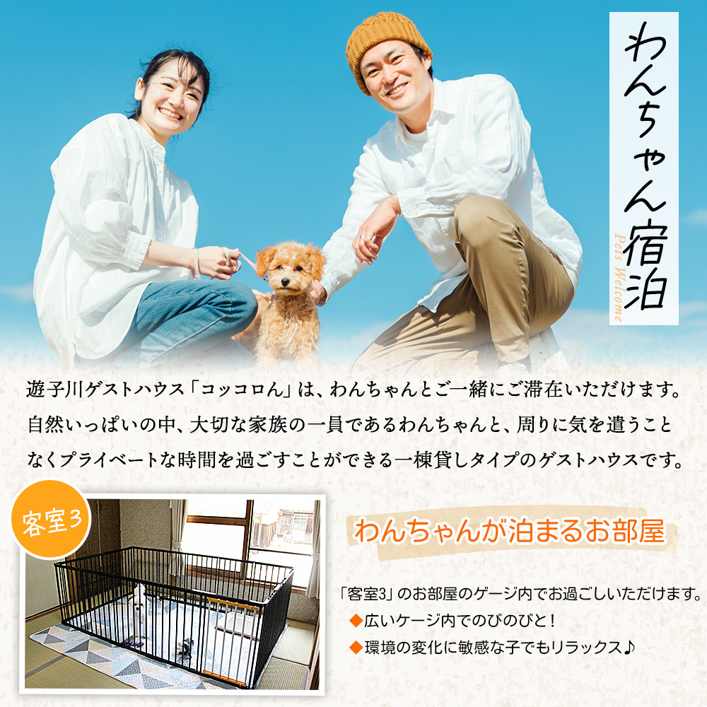 ＜大自然を感じるコッコロんの一棟貸しプラン(1泊)＞ ゲストハウス 古民家 宿 泊まり 利用券 旅 旅行 トラベル 1泊 犬同伴 愛犬 リラックス リノベーション アウトドア BBQ バーベキュー ピザ体験 愛媛県 西予市