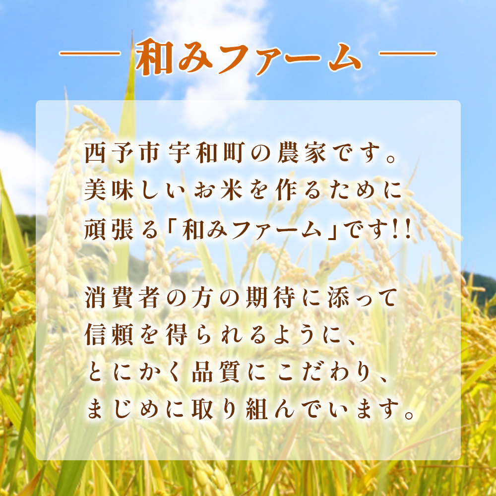 ＜令和7年産 愛媛県西予市産 コシヒカリ 田んぼダム米 5kg＞ 5キロ こしひかり 西予応援米 宇和米 お米 コメ こめ 白米 精米 米 国産 愛媛県産 宇和町産 和みファーム 愛媛県 西予市