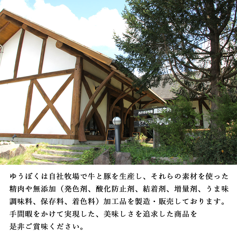 ＜はなが牛を使用した合挽メンチカツ 計9個＞ 3個入り オリジナル おつまみ 手作り 肉肉しい お肉 牛肉 はなが牛 国産 メンチカツ 肉加工品 冷凍食品 揚げ物 おかず 夕食 特産品 ゆうぼく 愛媛県 西予市