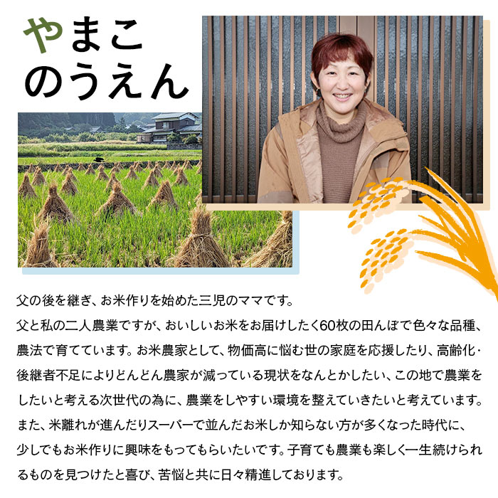 ＜古代米も入った！やまこのうえんのお米 4種類食べ比べセット 合計5.3kg＞ お米 コメ ご飯 こしひかり コシヒカリ にじのきらめき 古代米 黒米 赤米 食べ比べ 愛媛県 西予市