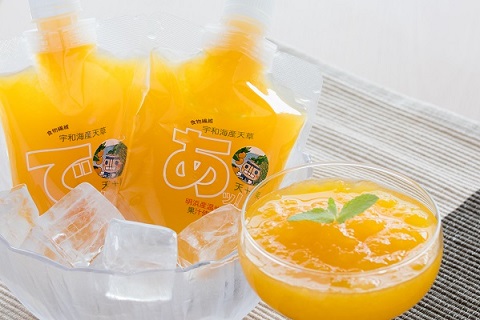 愛媛の飲むみかんジュレ(10個セット)