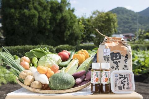せいよ旬の野菜・果物・宇和米10kg・特製麦みそ・ドレッシング詰合せセット