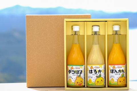 愛媛県明浜産　天晴兄妹みかんジュース（ぽんかん・はるか・デコぽよ） 3種類セット