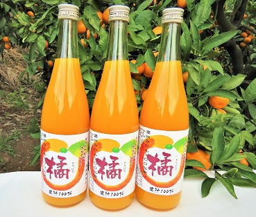 浅井果樹園直送　100％みかんジュース　3本入り