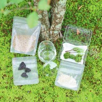 はじめての苔テラリウムにピッタリの作成キット★作り方動画付