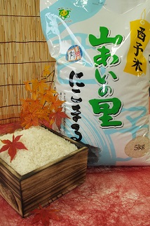 令和４年産　JAひがしうわ　特別栽培米「山あいの里」（にこまる）